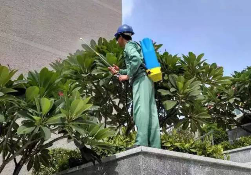 物业如何成为社区生活的守护者？